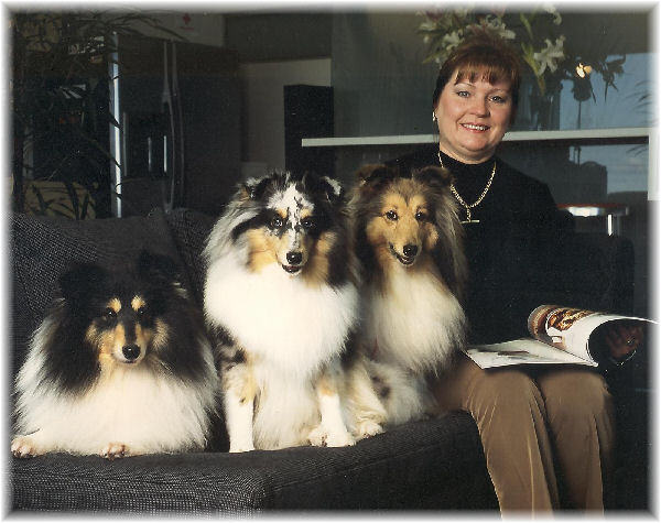Famous shelties shop